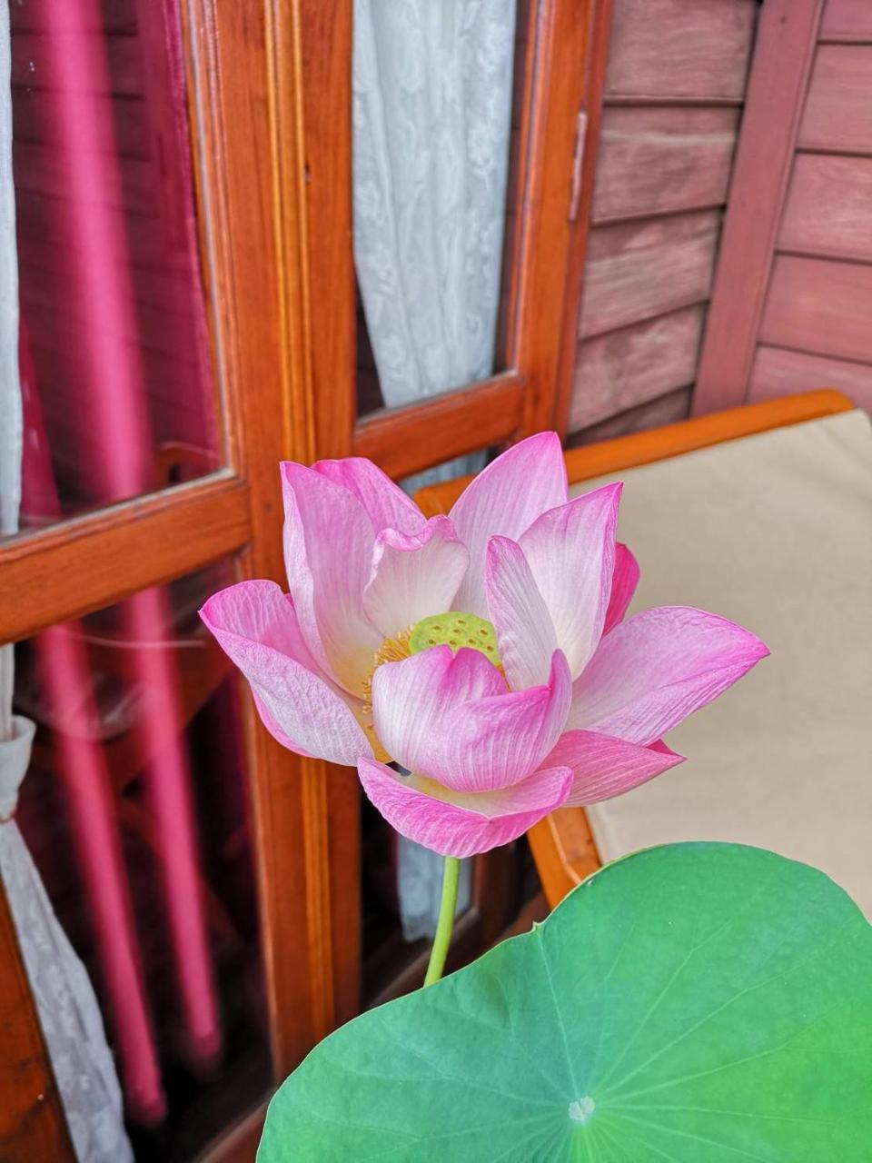 Baan Sithepaban Guesthouse بيتسانولوك المظهر الخارجي الصورة